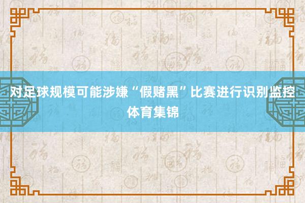 对足球规模可能涉嫌“假赌黑”比赛进行识别监控体育集锦