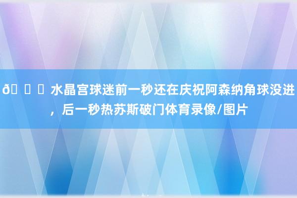 😂水晶宫球迷前一秒还在庆祝阿森纳角球没进，后一秒热苏斯破门体育录像/图片