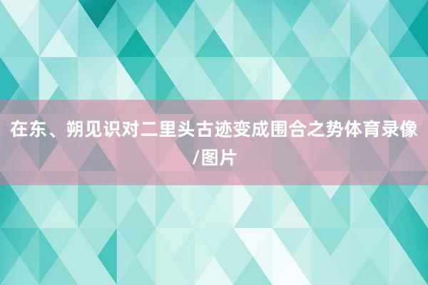 在东、朔见识对二里头古迹变成围合之势体育录像/图片