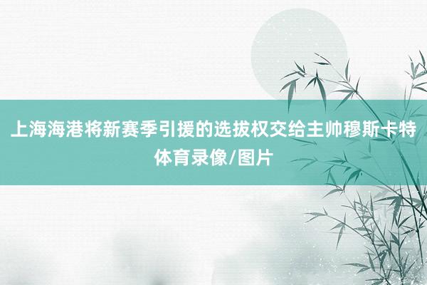 上海海港将新赛季引援的选拔权交给主帅穆斯卡特体育录像/图片