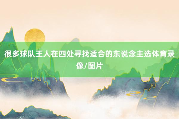 很多球队王人在四处寻找适合的东说念主选体育录像/图片