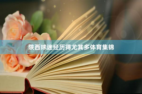 陕西球迷经历得尤其多体育集锦