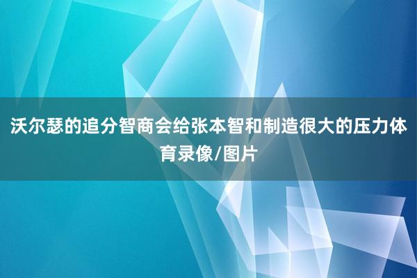 沃尔瑟的追分智商会给张本智和制造很大的压力体育录像/图片