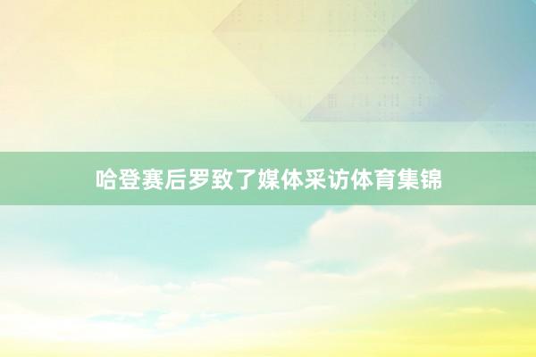 哈登赛后罗致了媒体采访体育集锦