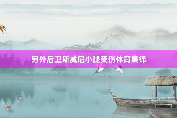另外后卫斯威尼小腿受伤体育集锦