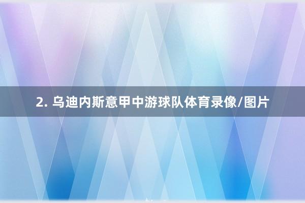 2. 乌迪内斯意甲中游球队体育录像/图片