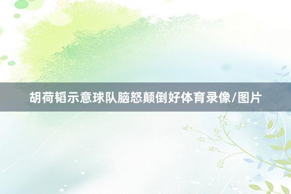 胡荷韬示意球队脑怒颠倒好体育录像/图片