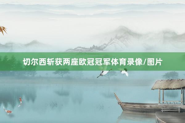 切尔西斩获两座欧冠冠军体育录像/图片