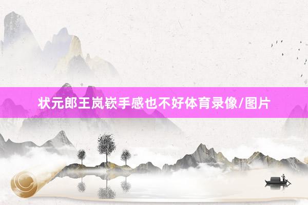 状元郎王岚嵚手感也不好体育录像/图片