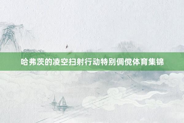 哈弗茨的凌空扫射行动特别倜傥体育集锦