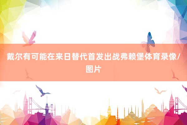 戴尔有可能在来日替代首发出战弗赖堡体育录像/图片