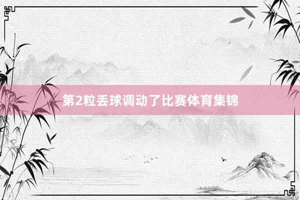 第2粒丢球调动了比赛体育集锦