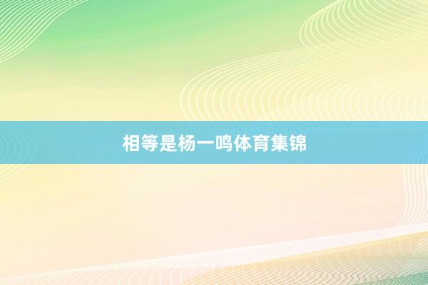 相等是杨一鸣体育集锦
