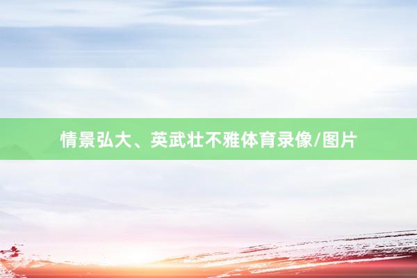 情景弘大、英武壮不雅体育录像/图片