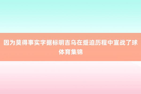 因为莫得事实字据标明吉乌在蹙迫历程中宣战了球体育集锦