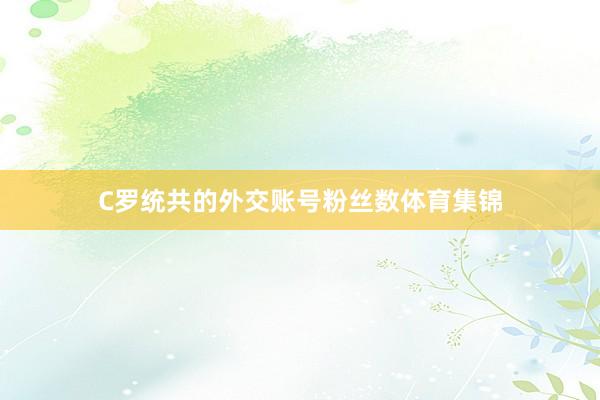 C罗统共的外交账号粉丝数体育集锦