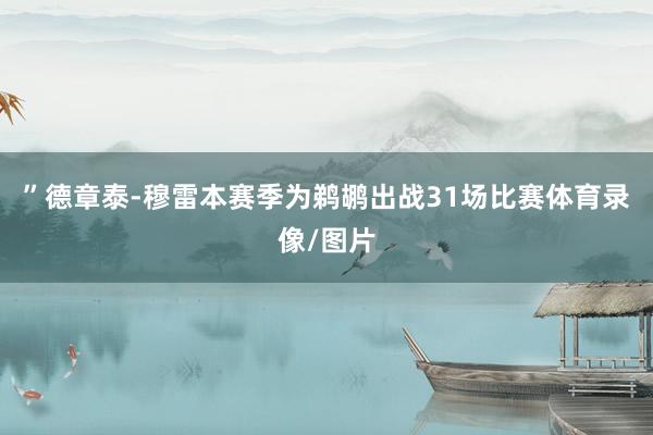 ”德章泰-穆雷本赛季为鹈鹕出战31场比赛体育录像/图片