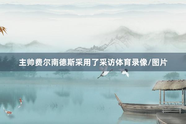 主帅费尔南德斯采用了采访体育录像/图片