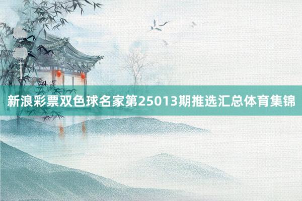新浪彩票双色球名家第25013期推选汇总体育集锦