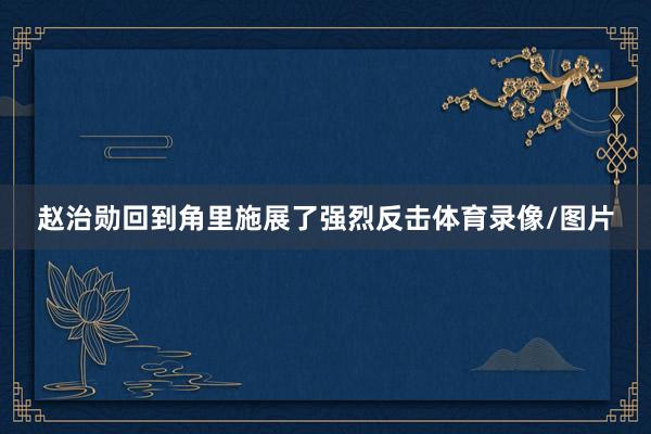 赵治勋回到角里施展了强烈反击体育录像/图片