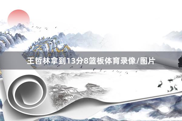 王哲林拿到13分8篮板体育录像/图片