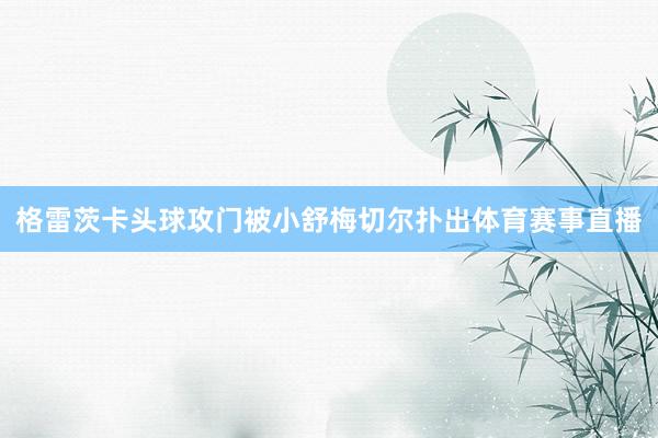格雷茨卡头球攻门被小舒梅切尔扑出体育赛事直播