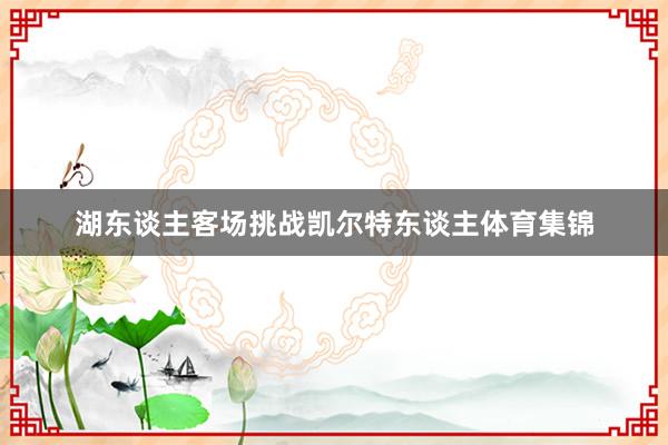 湖东谈主客场挑战凯尔特东谈主体育集锦