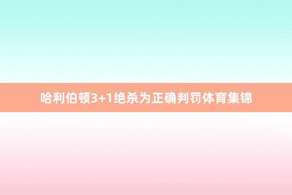 哈利伯顿3+1绝杀为正确判罚体育集锦