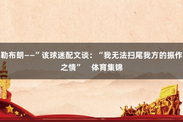 勒布朗——”该球迷配文谈：“我无法扫尾我方的振作之情”    体育集锦