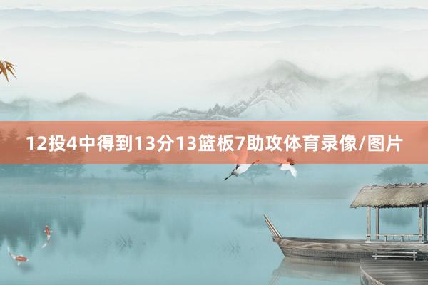 12投4中得到13分13篮板7助攻体育录像/图片