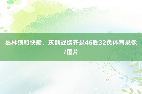 丛林狼和快船、灰熊战绩齐是46胜32负体育录像/图片