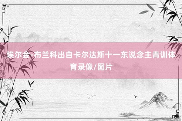埃尔金-布兰科出自卡尔达斯十一东说念主青训体育录像/图片