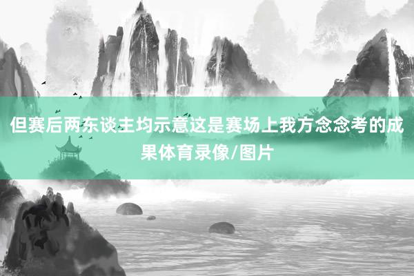 但赛后两东谈主均示意这是赛场上我方念念考的成果体育录像/图片