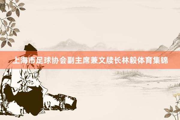 上海市足球协会副主席兼文牍长林毅体育集锦
