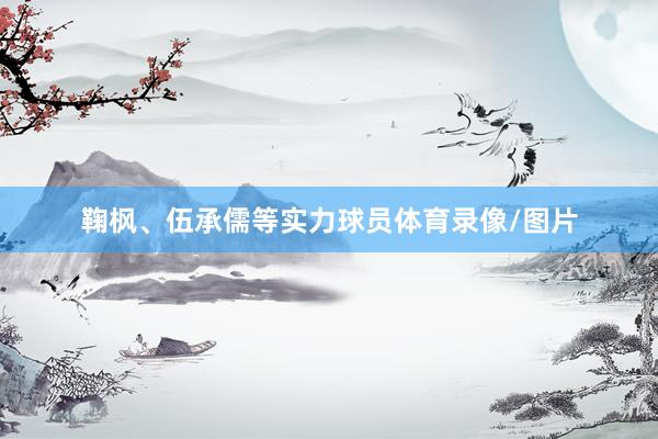 鞠枫、伍承儒等实力球员体育录像/图片