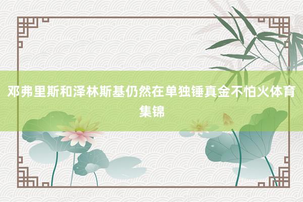 邓弗里斯和泽林斯基仍然在单独锤真金不怕火体育集锦