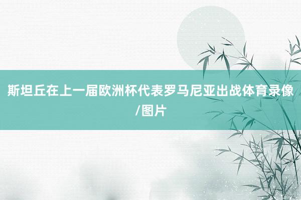 斯坦丘在上一届欧洲杯代表罗马尼亚出战体育录像/图片