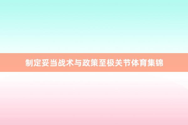 制定妥当战术与政策至极关节体育集锦