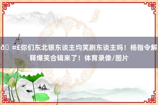 🤣你们东北银东谈主均笑剧东谈主吗！杨指令解释爆笑合辑来了！体育录像/图片