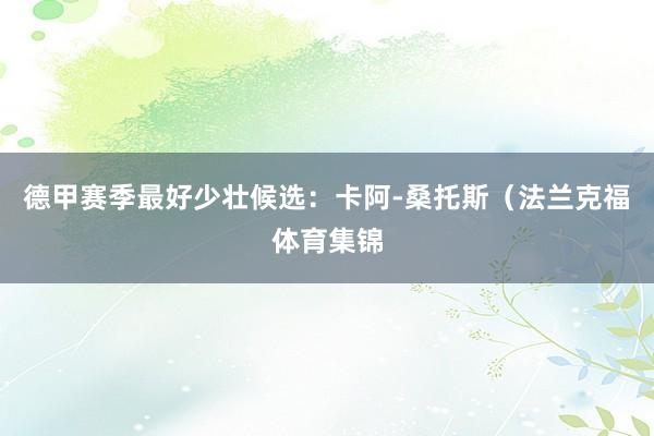 德甲赛季最好少壮候选：卡阿-桑托斯（法兰克福体育集锦