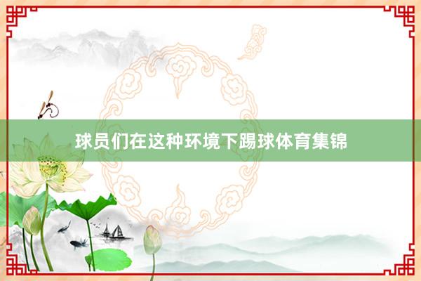 球员们在这种环境下踢球体育集锦