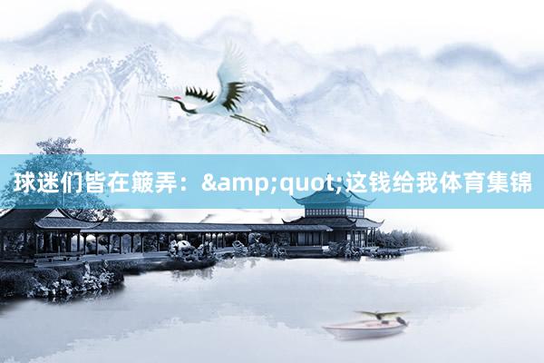球迷们皆在簸弄：&quot;这钱给我体育集锦