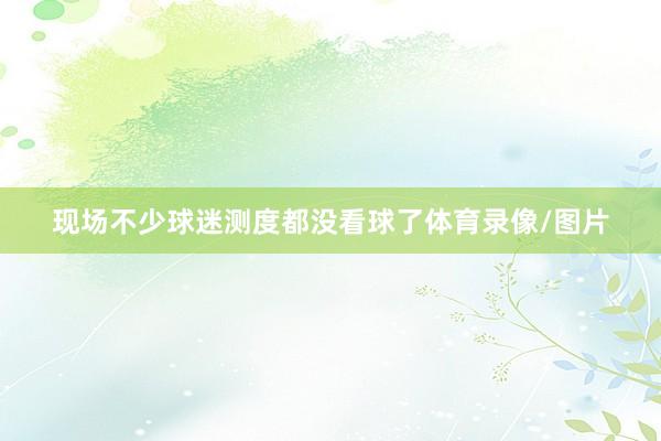 现场不少球迷测度都没看球了体育录像/图片
