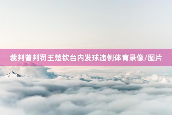 裁判曾判罚王楚钦台内发球违例体育录像/图片