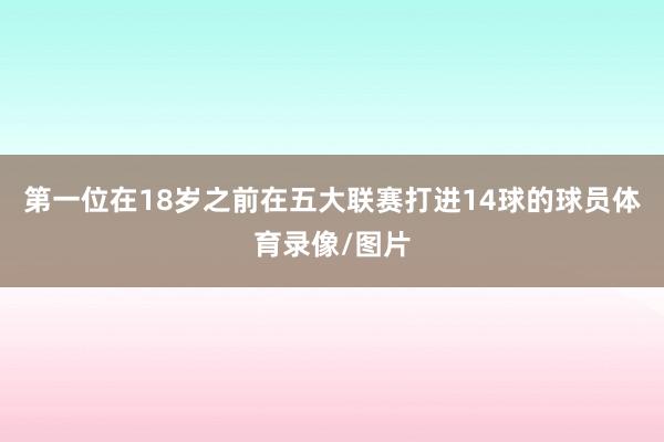 第一位在18岁之前在五大联赛打进14球的球员体育录像/图片