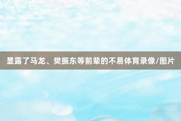 显露了马龙、樊振东等前辈的不易体育录像/图片