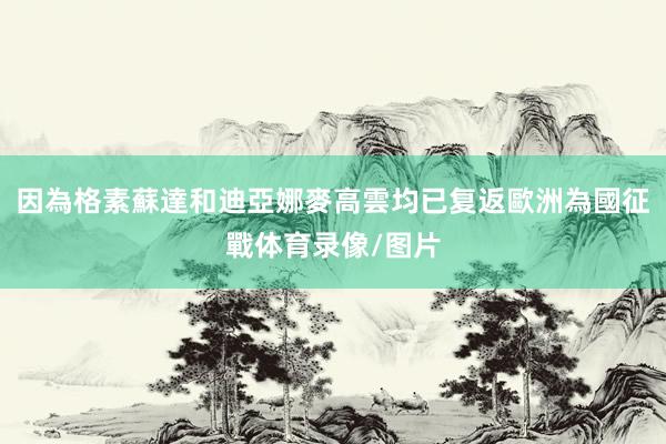 因為格素蘇達和迪亞娜麥高雲均已复返歐洲為國征戰体育录像/图片