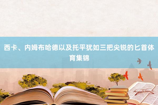 西卡、内姆布哈德以及托平犹如三把尖锐的匕首体育集锦