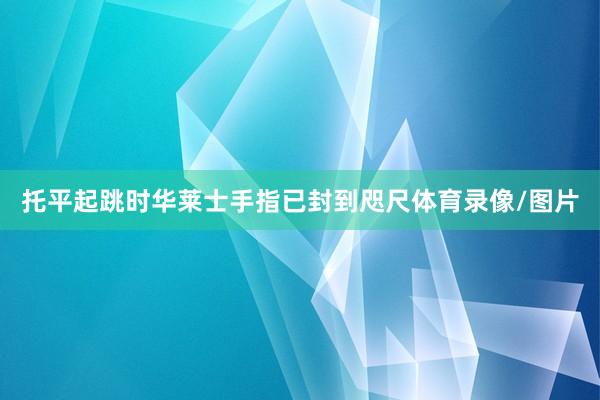 托平起跳时华莱士手指已封到咫尺体育录像/图片