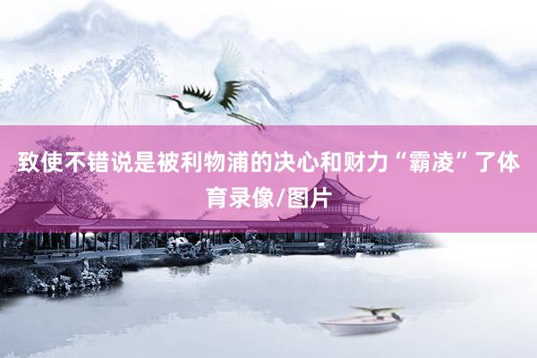 致使不错说是被利物浦的决心和财力“霸凌”了体育录像/图片